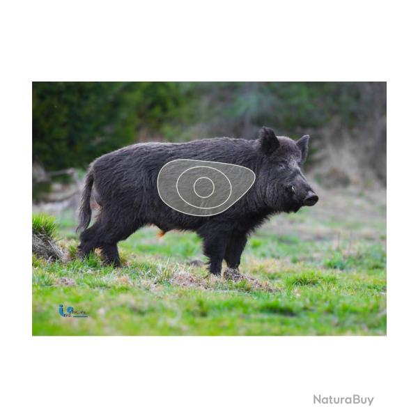 ITAL ESPANSO -�PETIT SANGLIER 2D