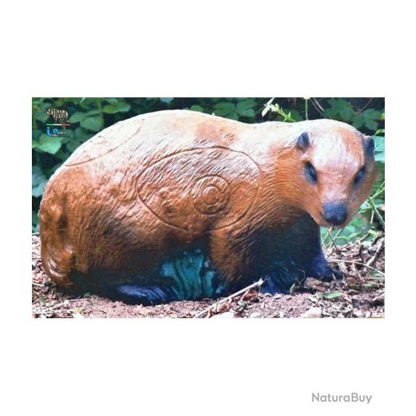 ITAL ESPANSO -�MARMOTTE 2D