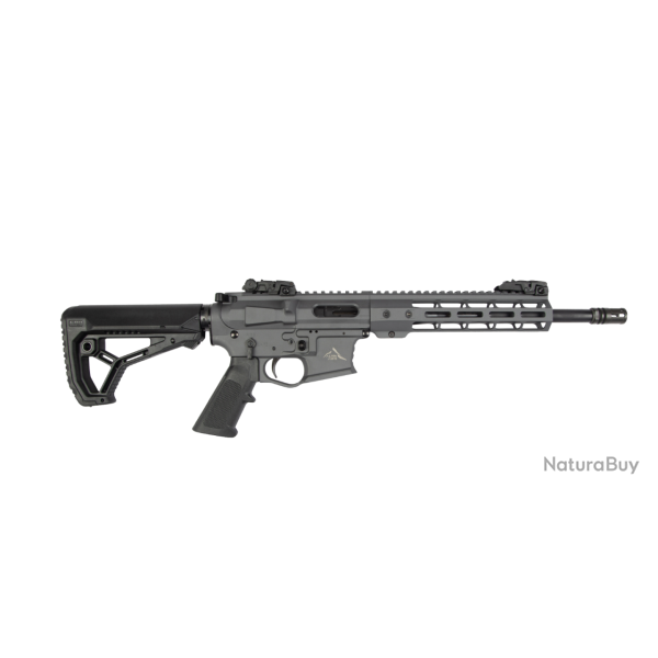 Carabine semi-automatique Alpen Arms STG9 - 9 mm / 12.5" / Gris
