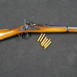 Fusil Springfield Trapdoor US Army 1873 Mod&egrave;le 1884 calibre 45-70 - Canon 45-70 Miroir - Cat&eacute;gorie D