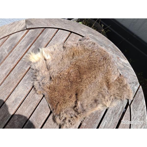 Peau de lapin #43