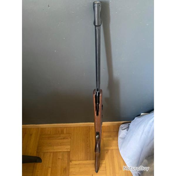 Carbine a plomb 4,5 mm GAMO Avec lunette camo Plomb plat et pointues avec