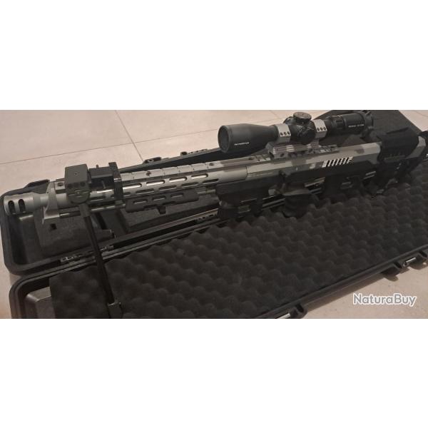 Fusil de precision DSR-1 (S&T)