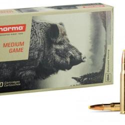 NORMA cal.30-06 Sprg Platic Point 180 grains - 11.7 grammes X20
