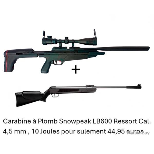 Carabine SL900S Snowpeak + 4-16x40AO Canon Fixe Cal. 4,5 mm 19,9 joul. + carabine Snow. LB600 4,5 mm