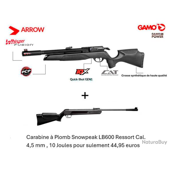 PACK COMBIN ! PACK1A Carabine PCP Arrow Gamo  Cal. 4,5 mm + Carabine Snowpeak LB600 Cal. 4,5 mm