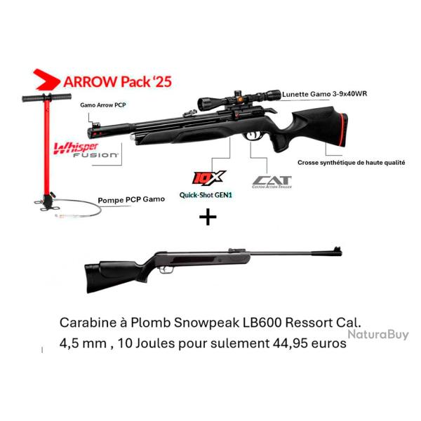 PACK COMBIN� ! Carabine Arrow Gamo 5,5 mm + Pompe pcp + Lunette + Carabine Snowpeak LB600 C. 4,5 mm