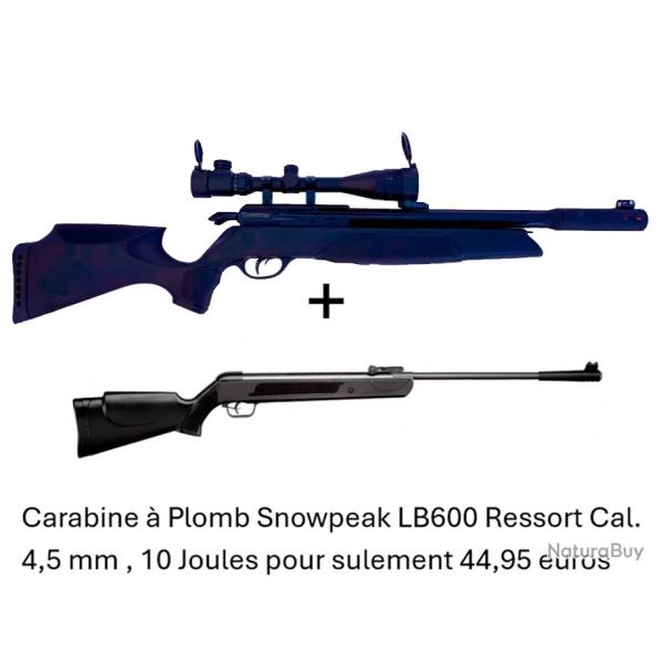 PACK COMBIN� ! Carabine Arrow Gamo + 4-16 x 40AO  Cal. 5,5 mm + Carabine Snowpeak LB600 Cal. 4,5 mm