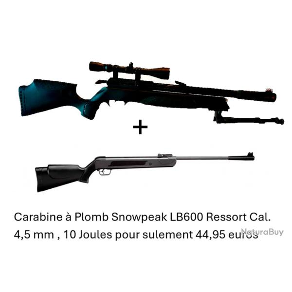 PACK COMBIN� ! PACKB2 Carabine Arrow Gamo  Cal. 5,5 mm + Carabine Snowpeak LB600 Cal. 4,5 mm