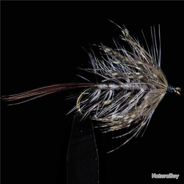 MOUCHE MAI 1 H10 PAR 3