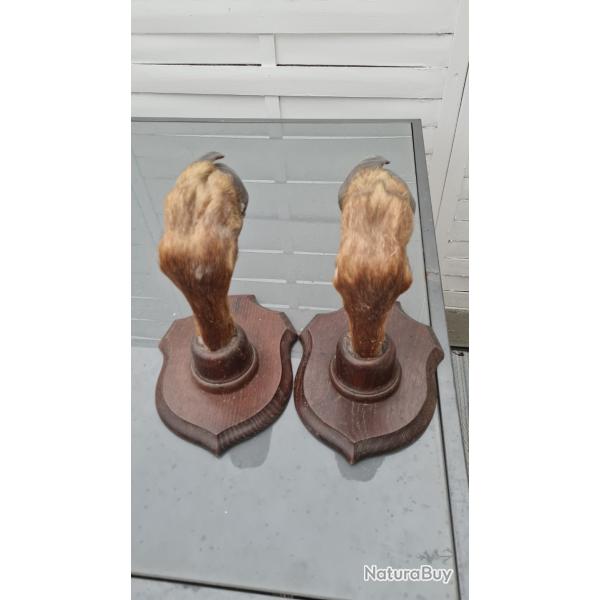 Supports pieds de chevreuil � 2