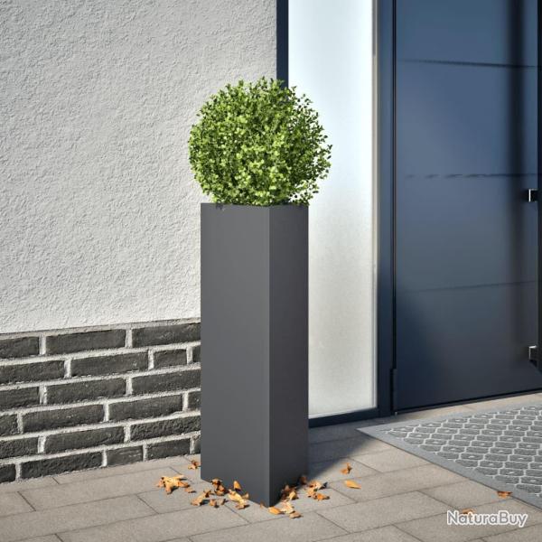 Jardinire anthracite triangulaire 30x26x75 cm acier
