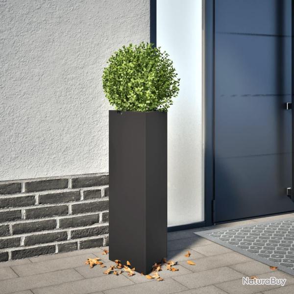 Jardini�re noir triangulaire 30x26x75 cm acier