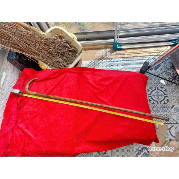 Canne dague en bois nou, pommeau courbe en corne L 83 cm dague env 30 cm