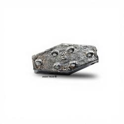 LEMER Plomb hexagonal &agrave; crampons x1 100g