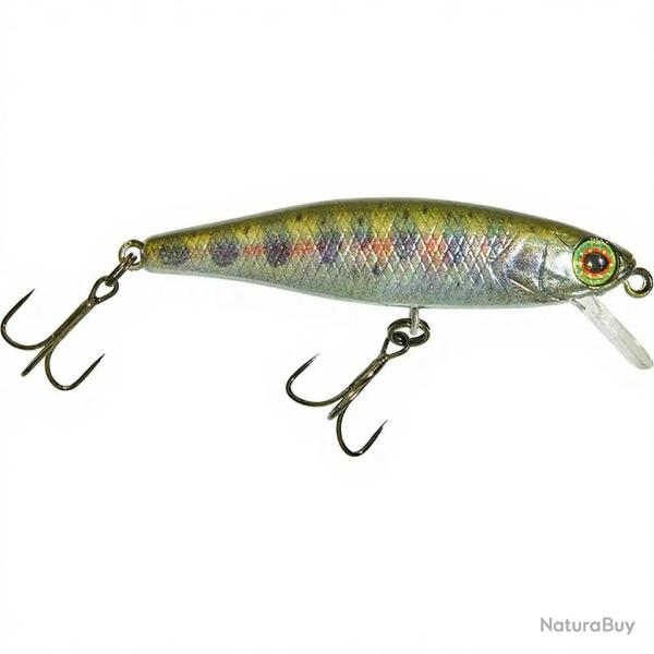 Poisson nageur ILLEX Tiny fry 50 SP RT Yamame