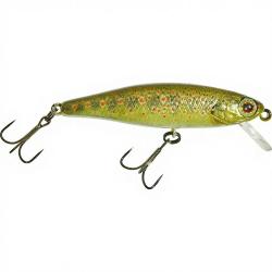 Poisson nageur ILLEX Tiny fry 50 SP RT Truitelle