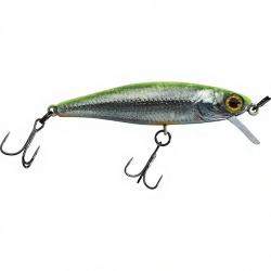 Poisson nageur ILLEX Tiny fry 50 SP RT Visible roach