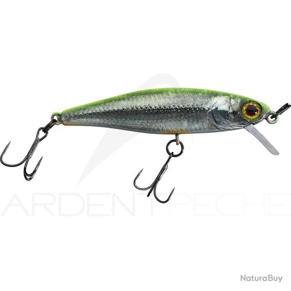 Poisson nageur ILLEX Tiny fry 50 SP RT Visible roach