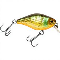 Poisson nageur ILLEX Chubby 38 Agressive perch