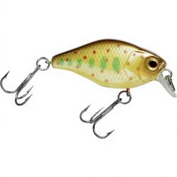 Poisson nageur ILLEX Chubby 38 Truitelle