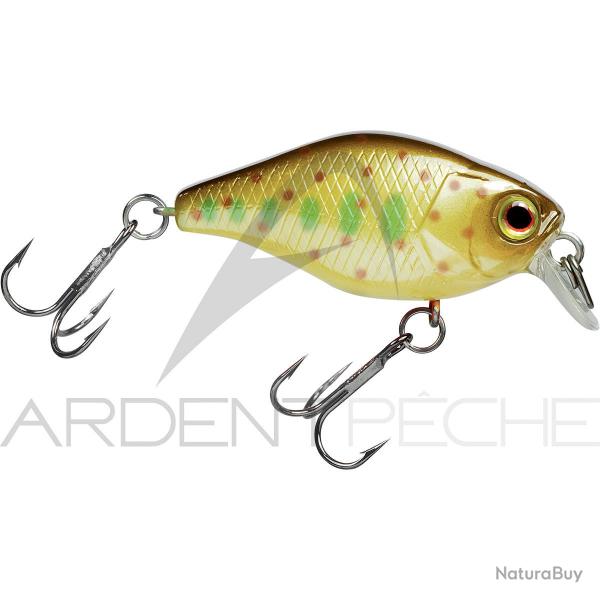 Poisson nageur ILLEX Chubby 38 Truitelle