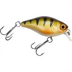 Poisson nageur ILLEX Chubby 38 Perch