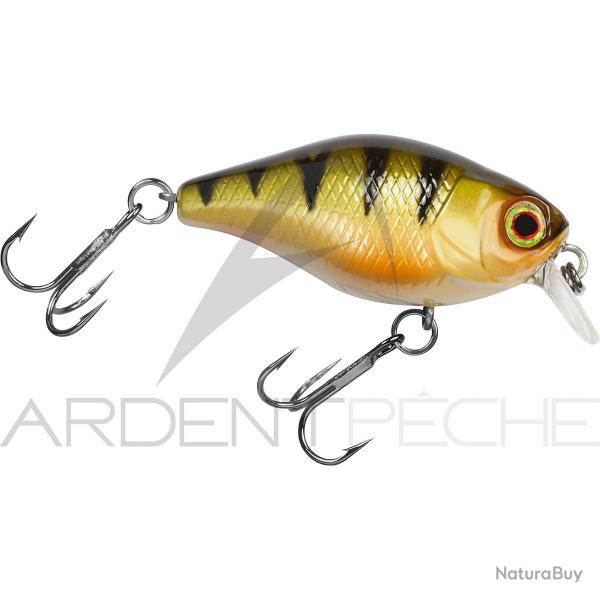 Poisson nageur ILLEX Chubby 38 Perch