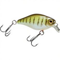 Poisson nageur ILLEX Chubby 38 Vairon