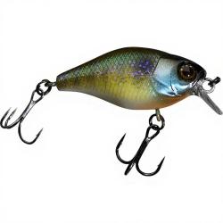 Poisson nageur ILLEX Chubby 38 Etto noike gill
