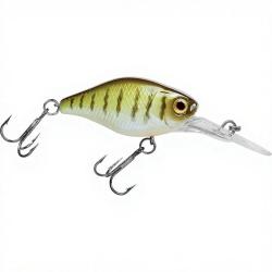 Poisson nageur ILLEX Diving chubby 38 Vairon