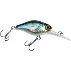 Poisson nageur ILLEX Diving chubby 38 NF Ablette