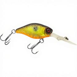 Poisson nageur ILLEX Diving chubby 38 Muddy roach
