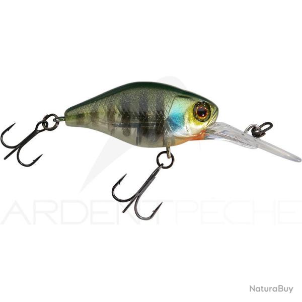 Poisson nageur ILLEX Diving chubby 38 Skeleton gill