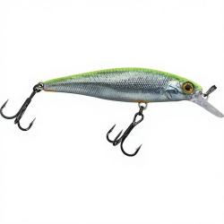 Poisson nageur ILLEX Squad minnow 65 SP RT Visible roach
