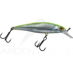 Poisson nageur ILLEX Squad minnow 95 SP RT Visible roach