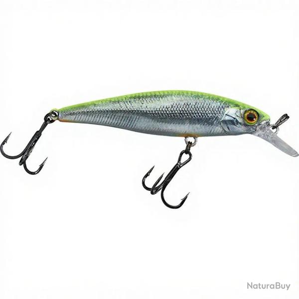Poisson nageur ILLEX Squad minnow 95 SP RT Visible roach