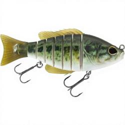 Poisson nageur BIWAA Seven 6 01 Real bass
