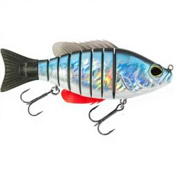 Poisson nageur BIWAA Seven 6 13 Gardon lazer