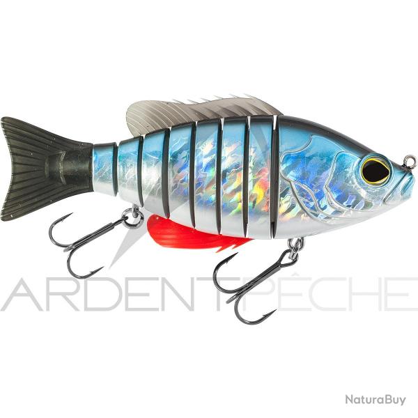 Poisson nageur BIWAA Seven 6 13 Gardon lazer