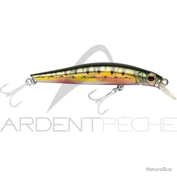 Poisson nageur JACKSON Artist FR80 Vairon nup