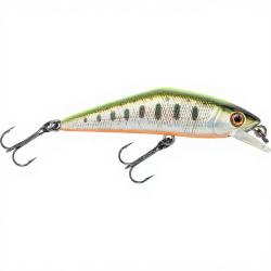 Poisson nageur SMITH D Contact 50 40