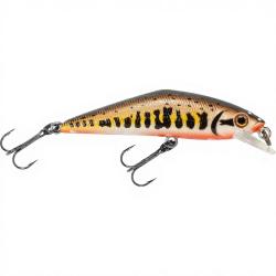 Poisson nageur SMITH D Contact 50 Vairon 2