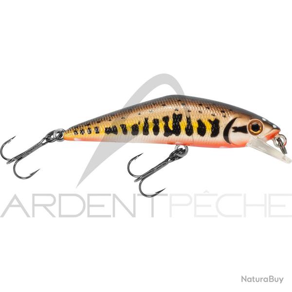 Poisson nageur SMITH D Contact 50 Vairon 2