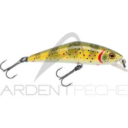 Poisson nageur SMITH D Contact 50 T1