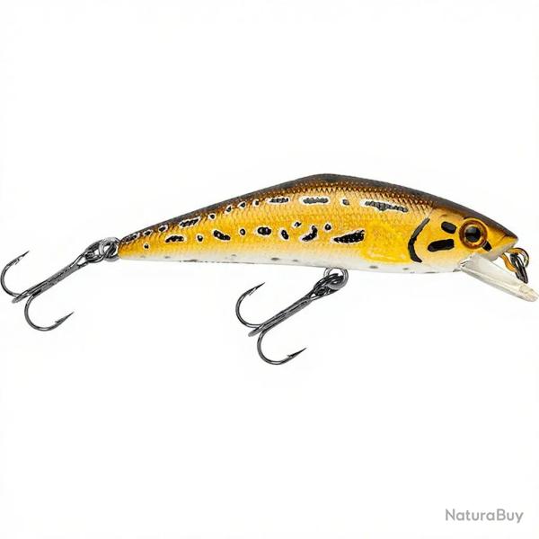 Poisson nageur SMITH D Contact 50 L1