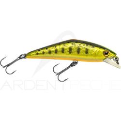 Poisson nageur SMITH D Contact 50 52