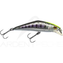 Poisson nageur SMITH D Contact 50 53