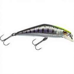 Poisson nageur SMITH D Contact 50 53