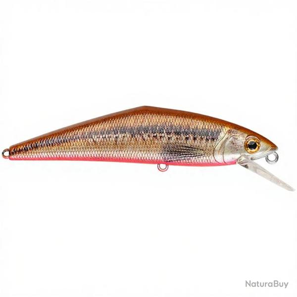 Poisson nageur SMITH D Contact 50 V3
